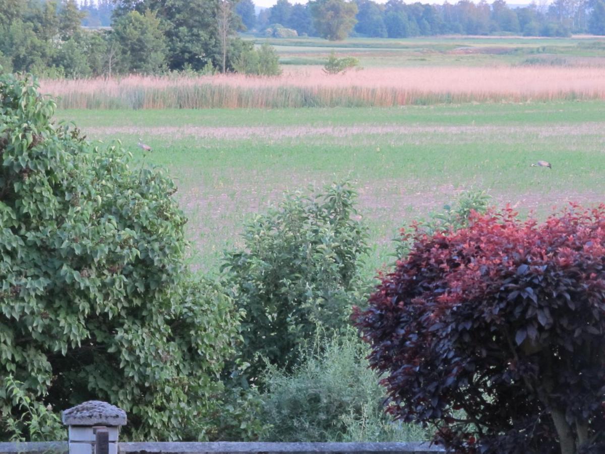 Zum Wiesengrund Im Oderbruch Altglietzen Exterior foto
